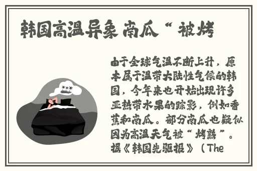 三级全黄app播放